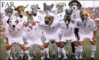 l'équipe des f a r