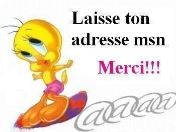laisse ton adresse